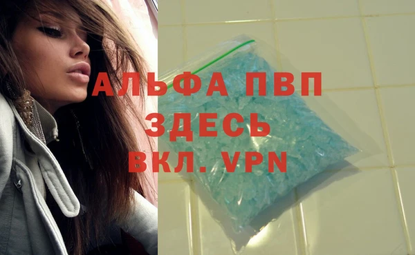гидра Алексеевка