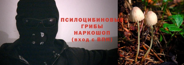 молекула духа Алзамай