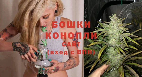 гидра Алексеевка