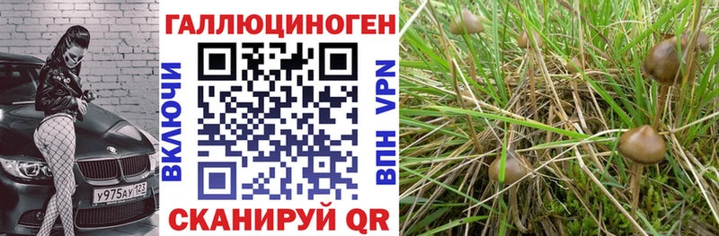 Псилоцибиновые грибы Cubensis  OMG ССЫЛКА  Иннополис 